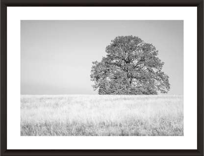 Main image Where the Journey ends