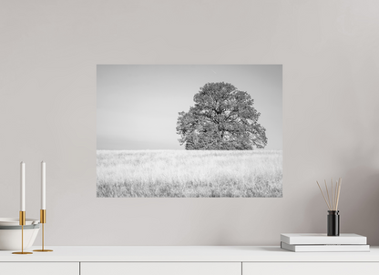 56 x 40 cm, Fine Art Print on textured paper Where the Journey ends