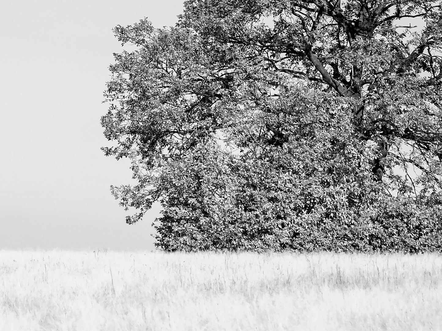 Where the Journey ends