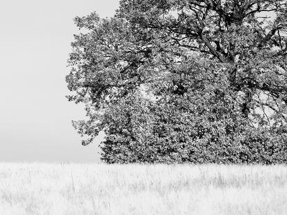 Where the Journey ends